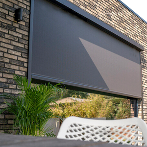 Motorized Zip Screen Roller Blinds for Balcony Sunshade
